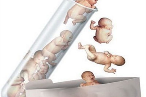 http://guiyang.dacou.net/post/194.html|贵阳新闻中心